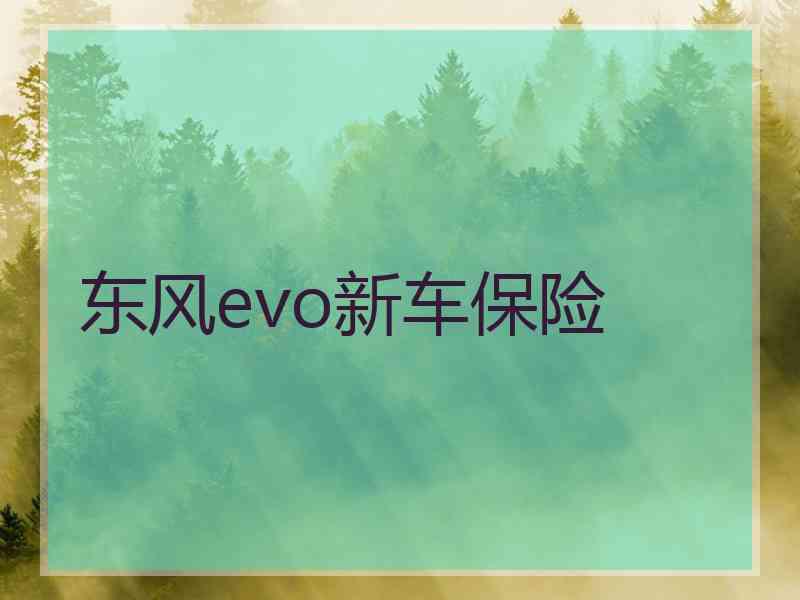 东风evo新车保险