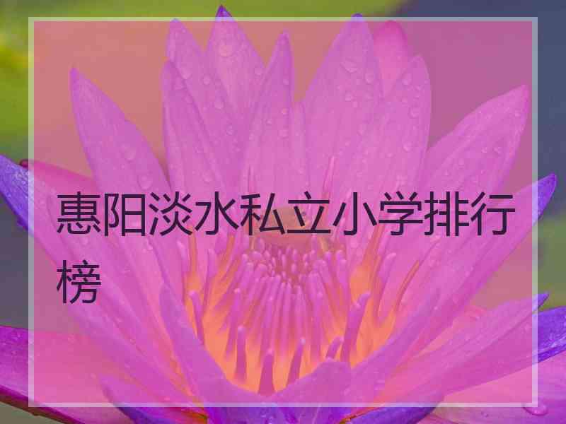 惠阳淡水私立小学排行榜