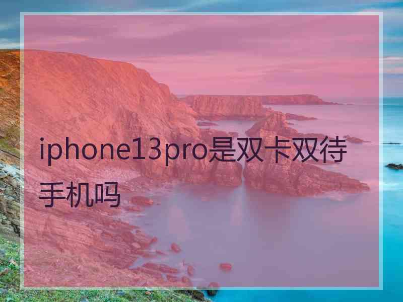 iphone13pro是双卡双待手机吗