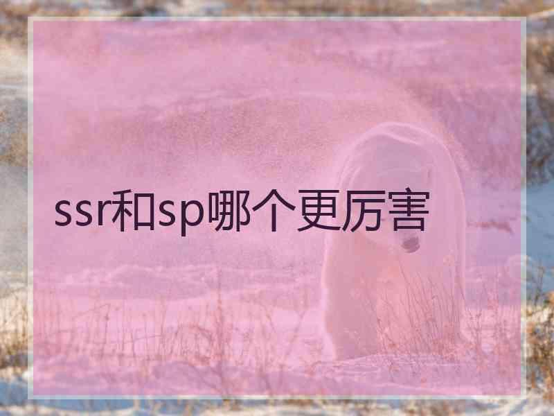 ssr和sp哪个更厉害