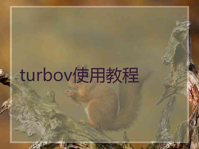 turbov使用教程