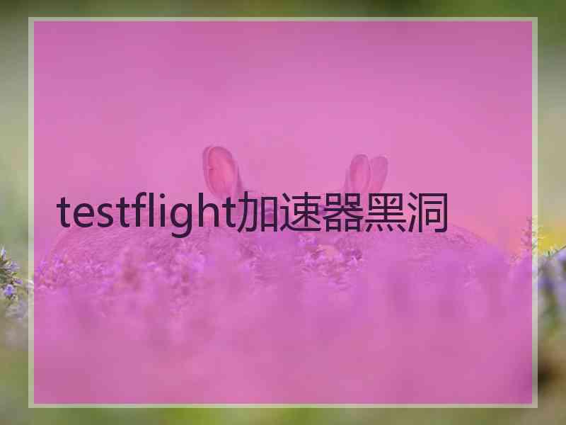 testflight加速器黑洞