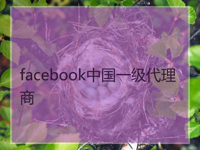 facebook中国一级代理商