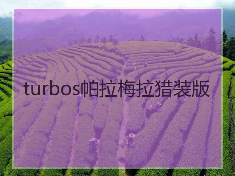 turbos帕拉梅拉猎装版