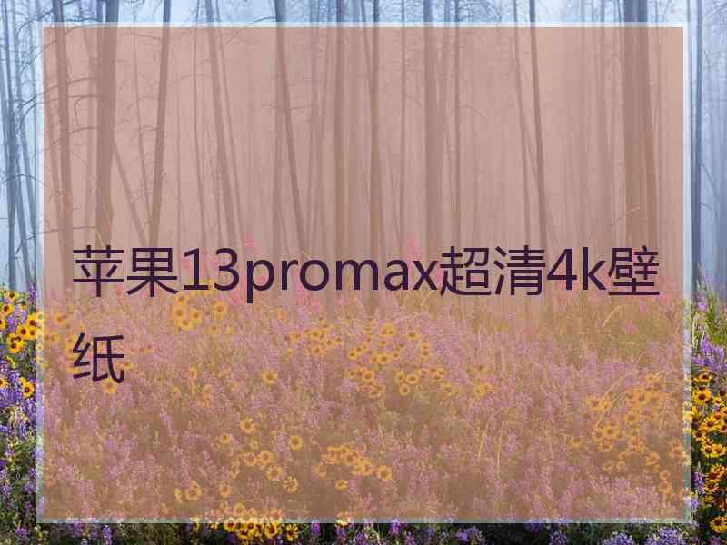 苹果13promax超清4k壁纸