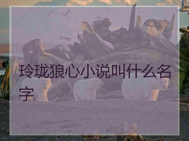 玲珑狼心小说叫什么名字