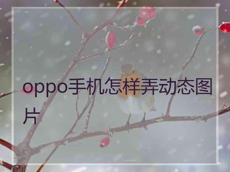 oppo手机怎样弄动态图片