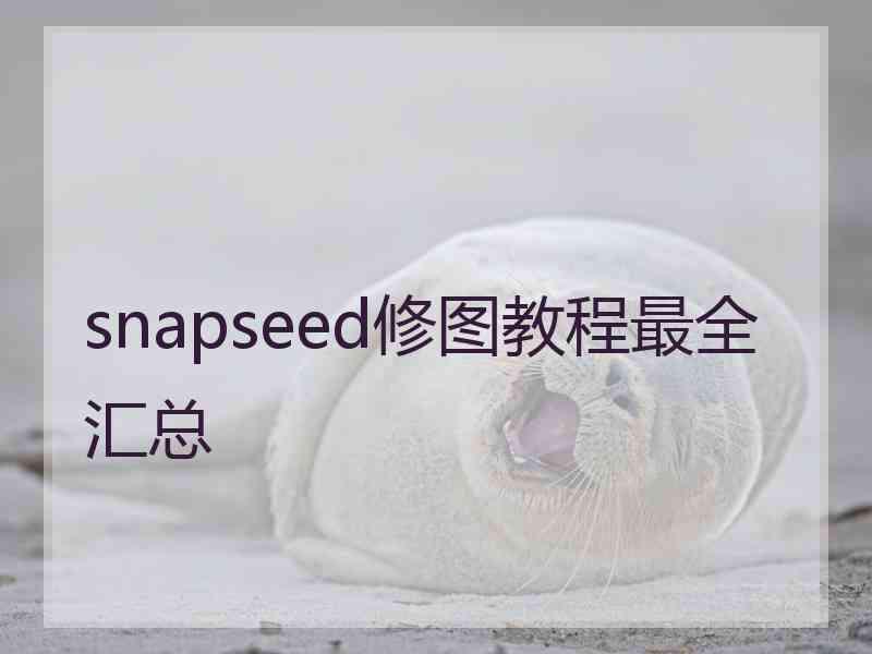 snapseed修图教程最全汇总