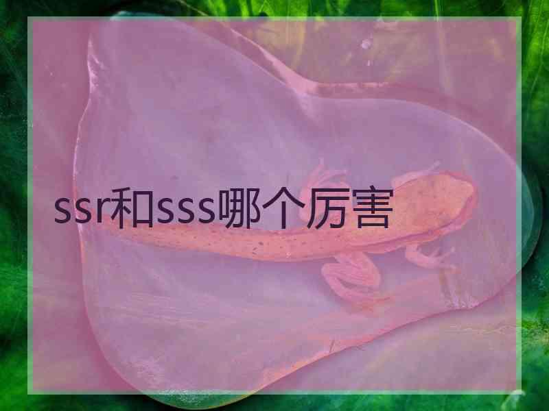 ssr和sss哪个厉害