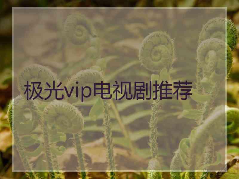 极光vip电视剧推荐