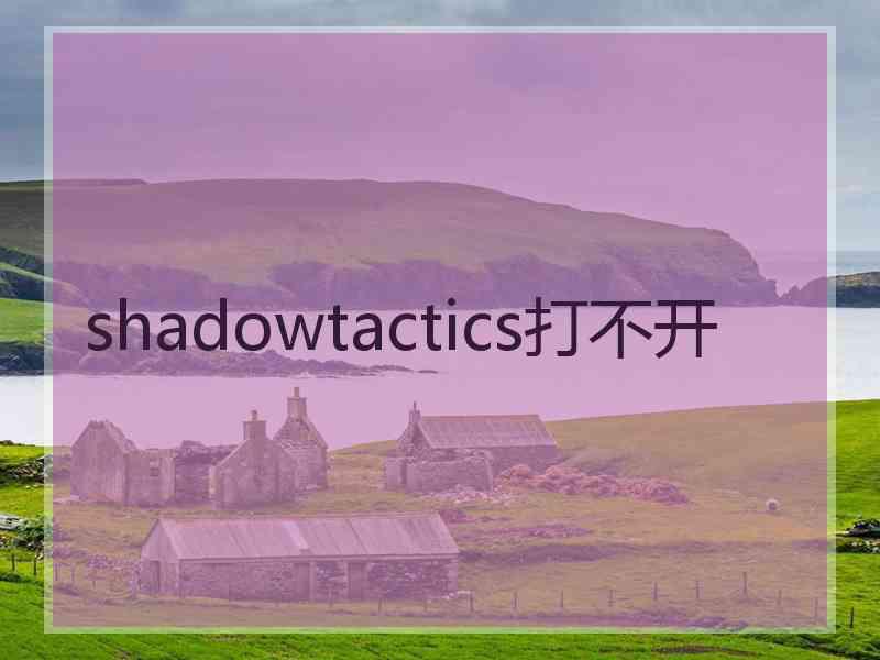 shadowtactics打不开