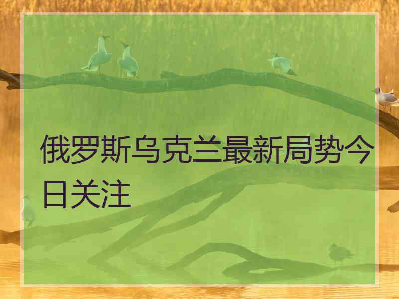 俄罗斯乌克兰最新局势今日关注