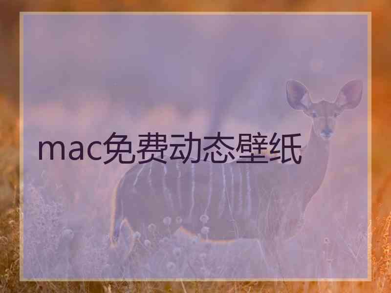 mac免费动态壁纸