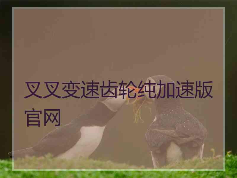 叉叉变速齿轮纯加速版官网