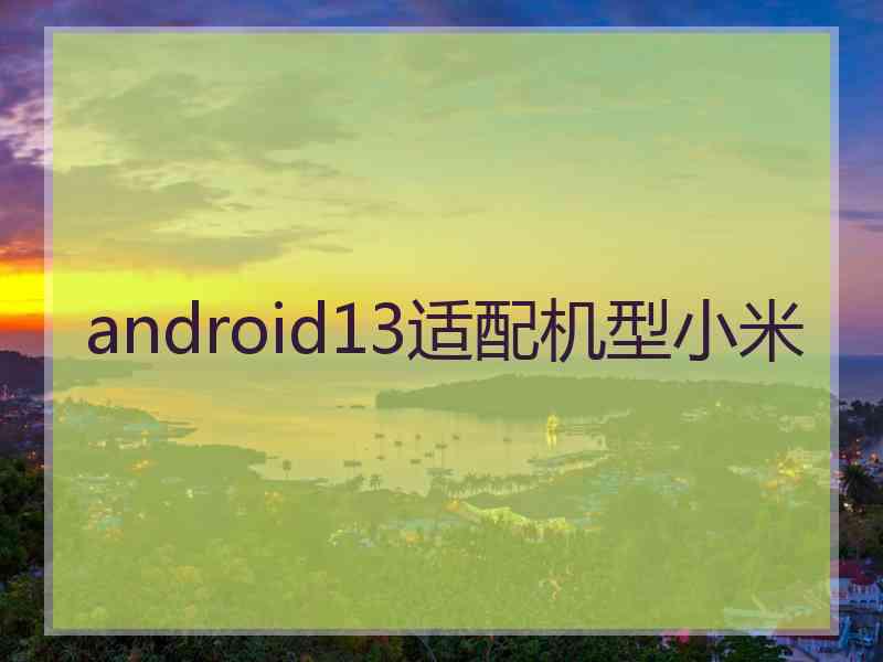 android13适配机型小米