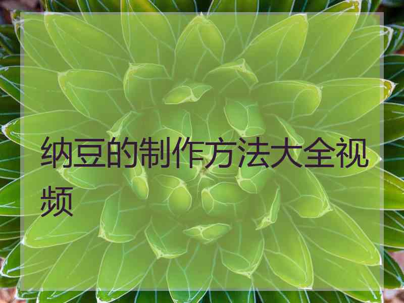 纳豆的制作方法大全视频