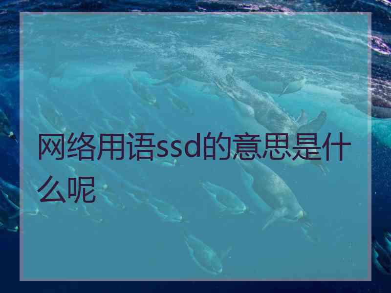 网络用语ssd的意思是什么呢