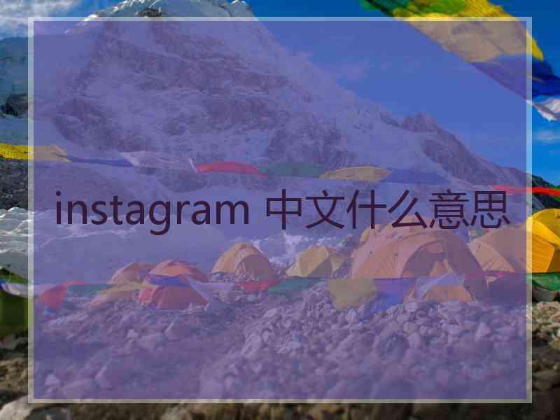 instagram 中文什么意思