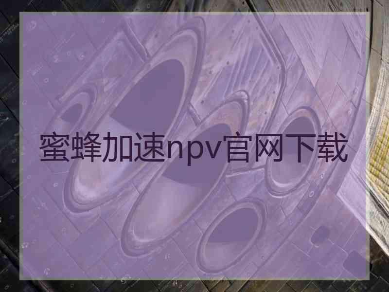 蜜蜂加速npv官网下载