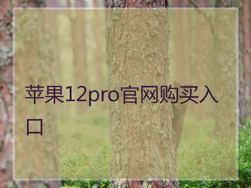 苹果12pro官网购买入口