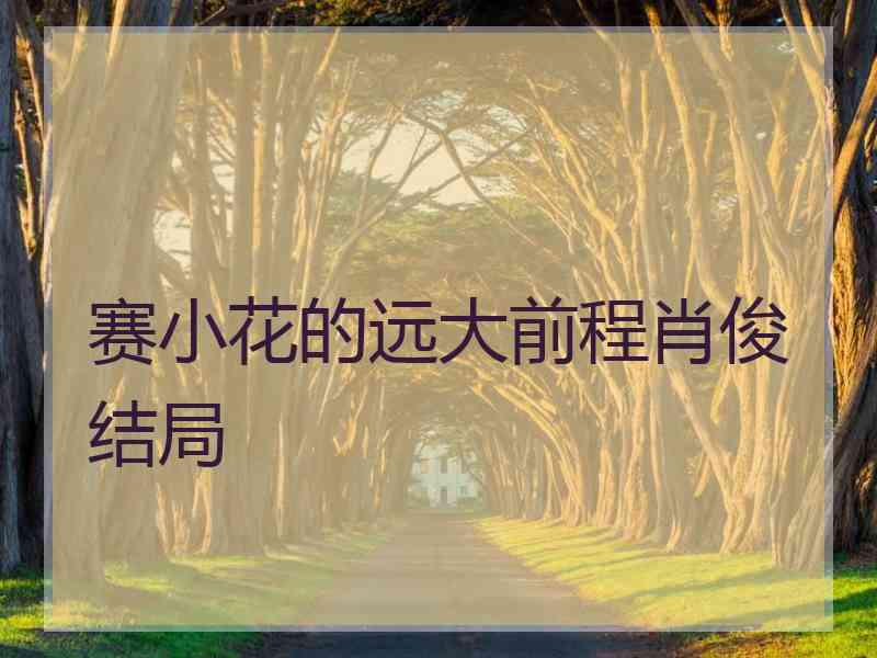 赛小花的远大前程肖俊结局