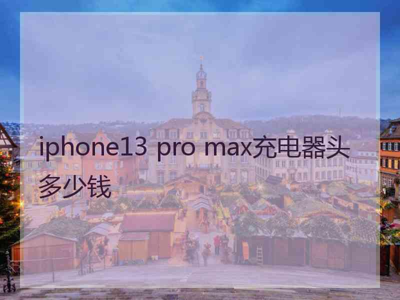 iphone13 pro max充电器头多少钱