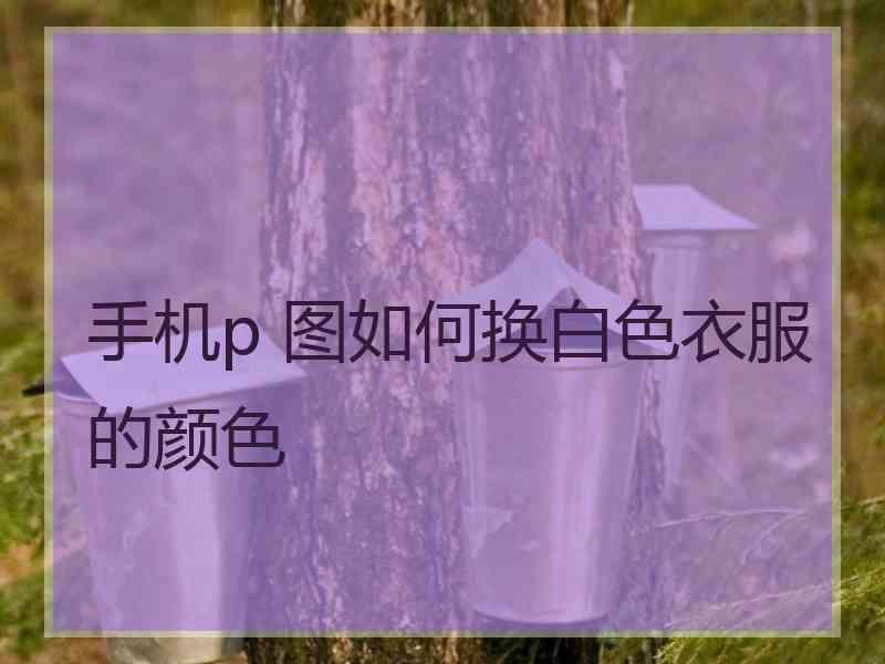 手机p 图如何换白色衣服的颜色