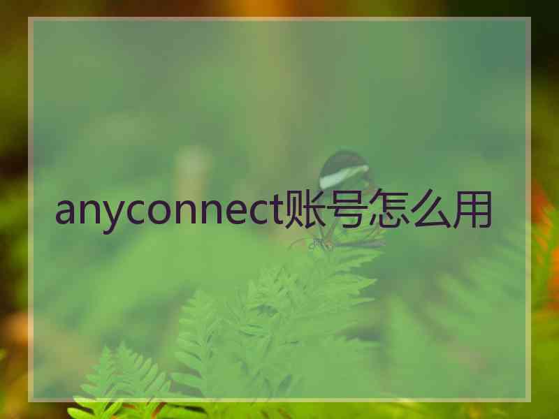 anyconnect账号怎么用