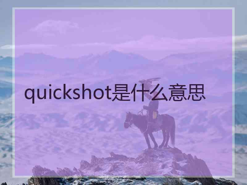 quickshot是什么意思