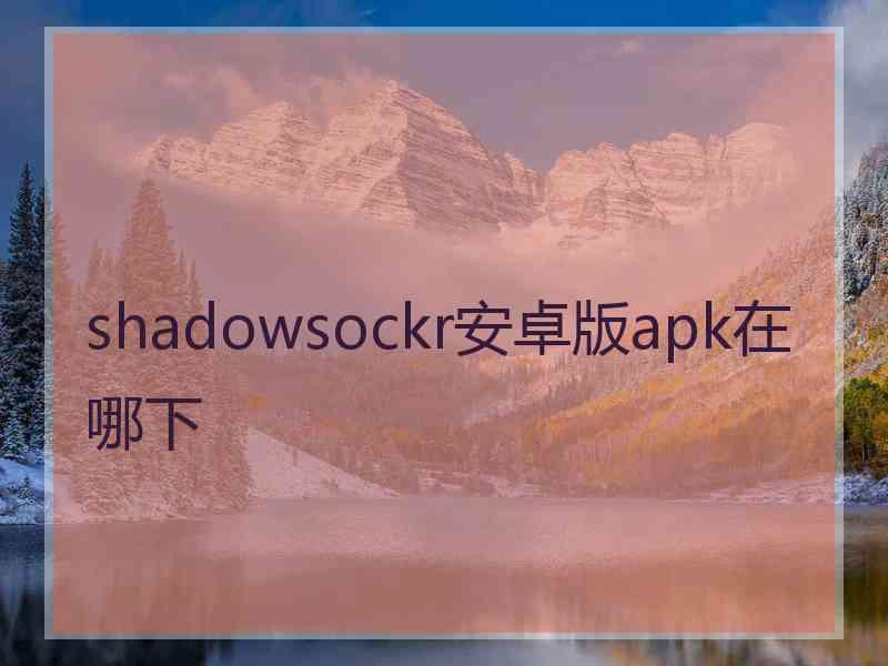 shadowsockr安卓版apk在哪下