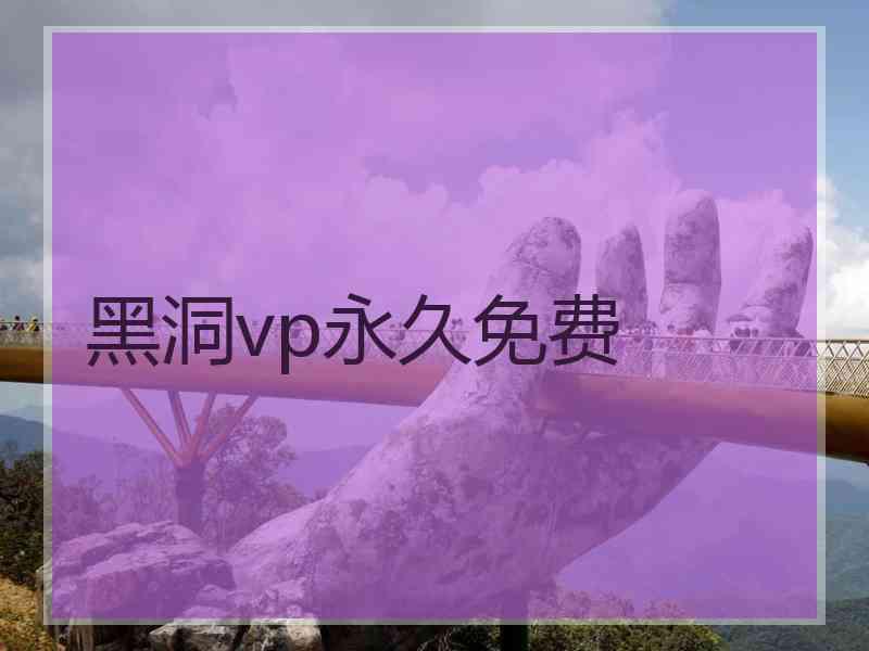 黑洞vp永久免费