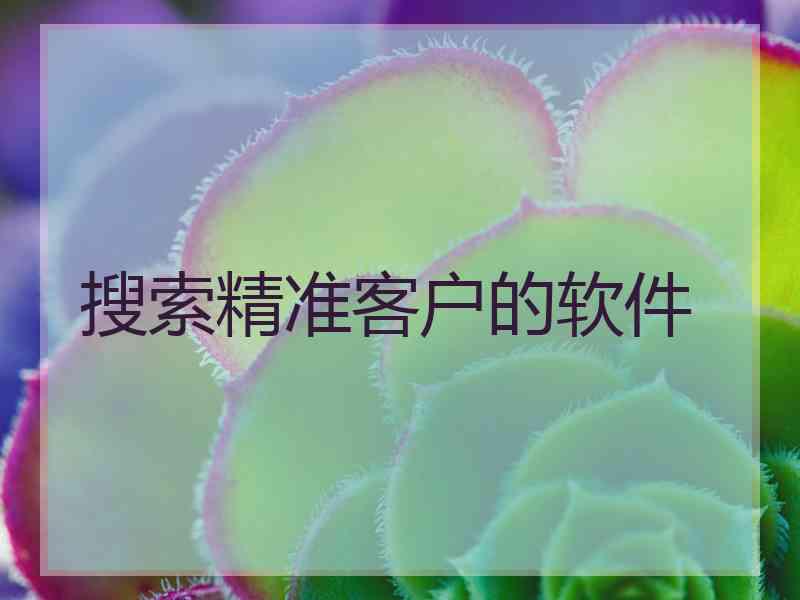 搜索精准客户的软件