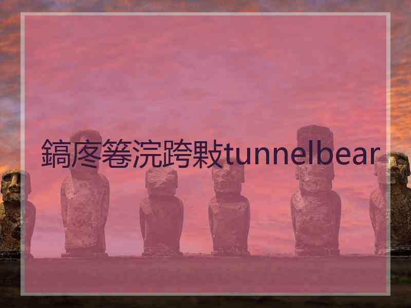 鎬庝箞浣跨敤tunnelbear