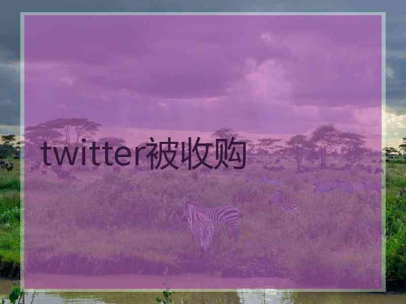 twitter被收购