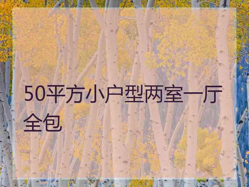 50平方小户型两室一厅全包