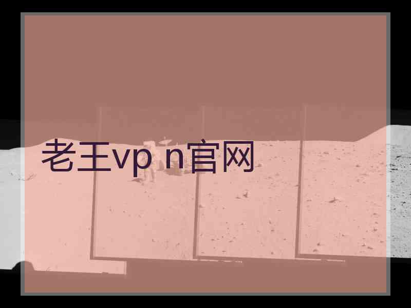 老王vp n官网