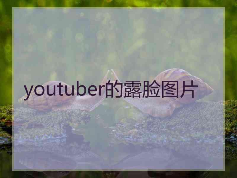 youtuber的露脸图片