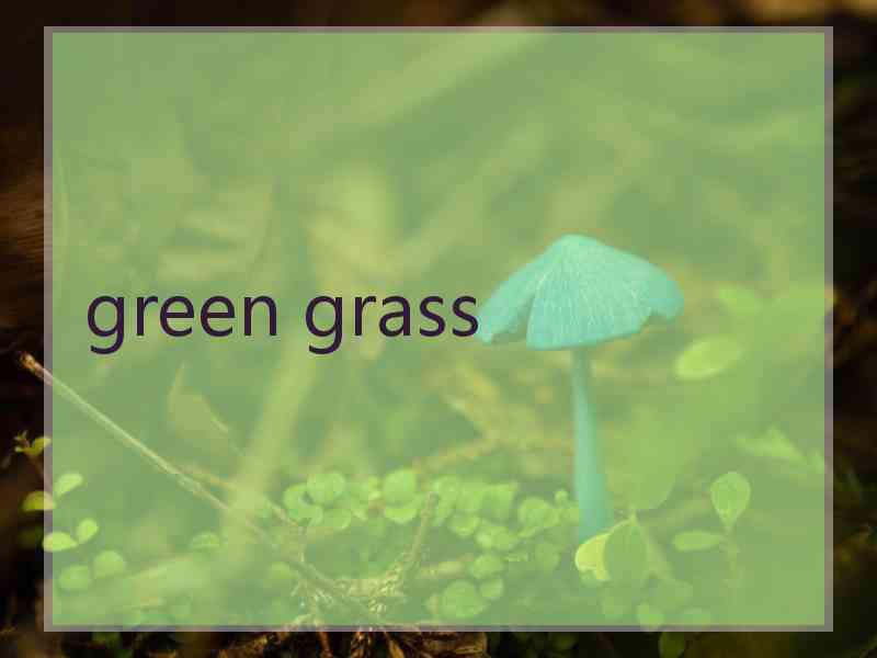 green grass