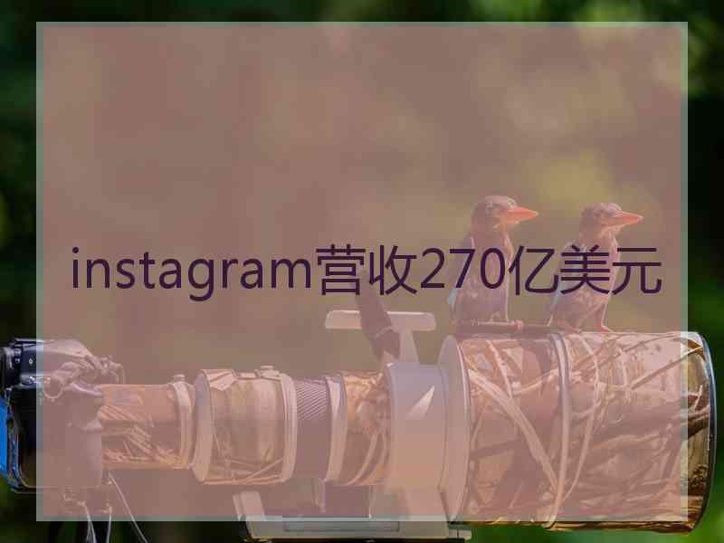 instagram营收270亿美元