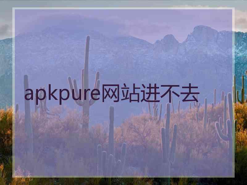 apkpure网站进不去