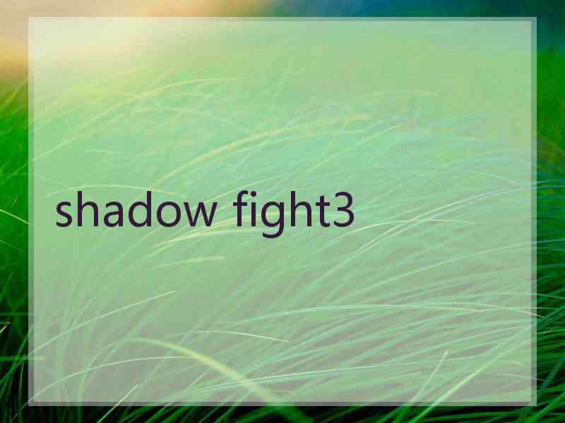 shadow fight3