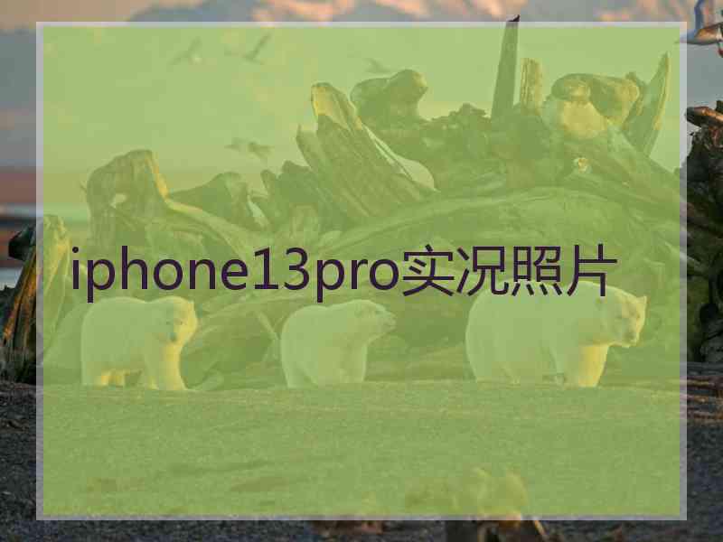 iphone13pro实况照片