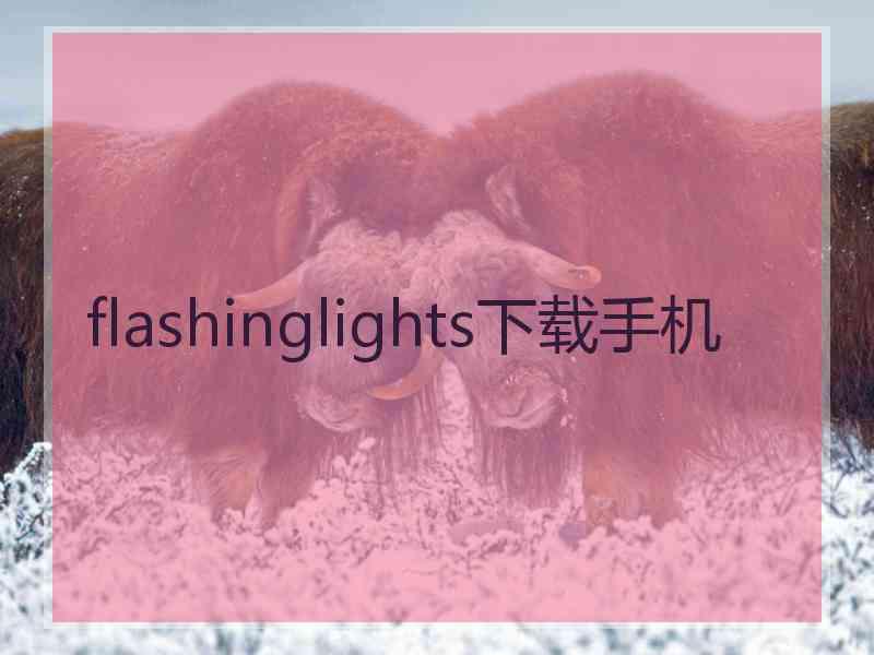 flashinglights下载手机