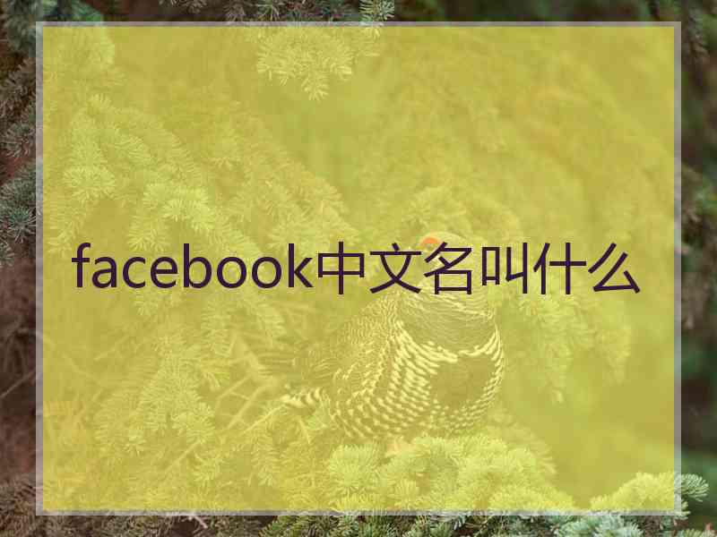 facebook中文名叫什么