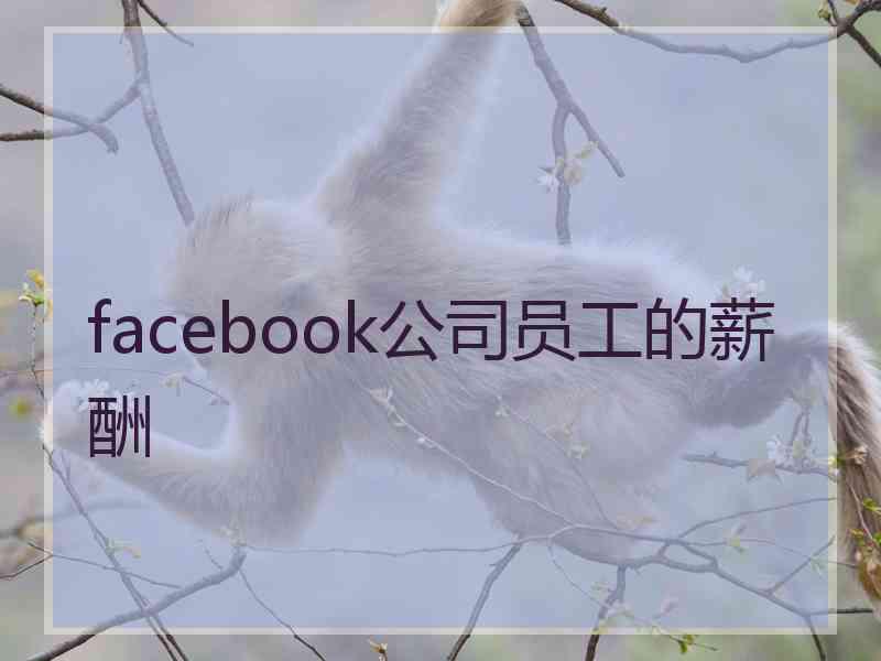 facebook公司员工的薪酬