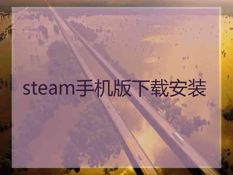 steam手机版下载安装