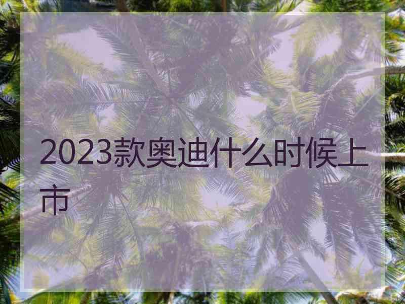 2023款奥迪什么时候上市