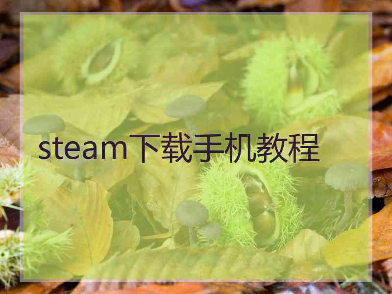 steam下载手机教程