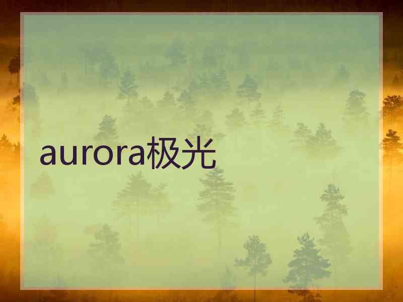 aurora极光