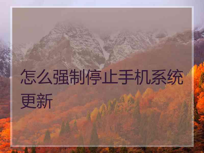 怎么强制停止手机系统更新